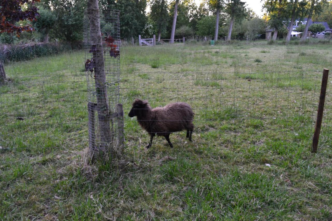 Villa De Galerie - Landgoed Rijckholt Geersdijk Esterno foto